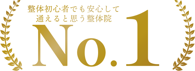 整体初心者でも安心して通えると思う整体院No.1
